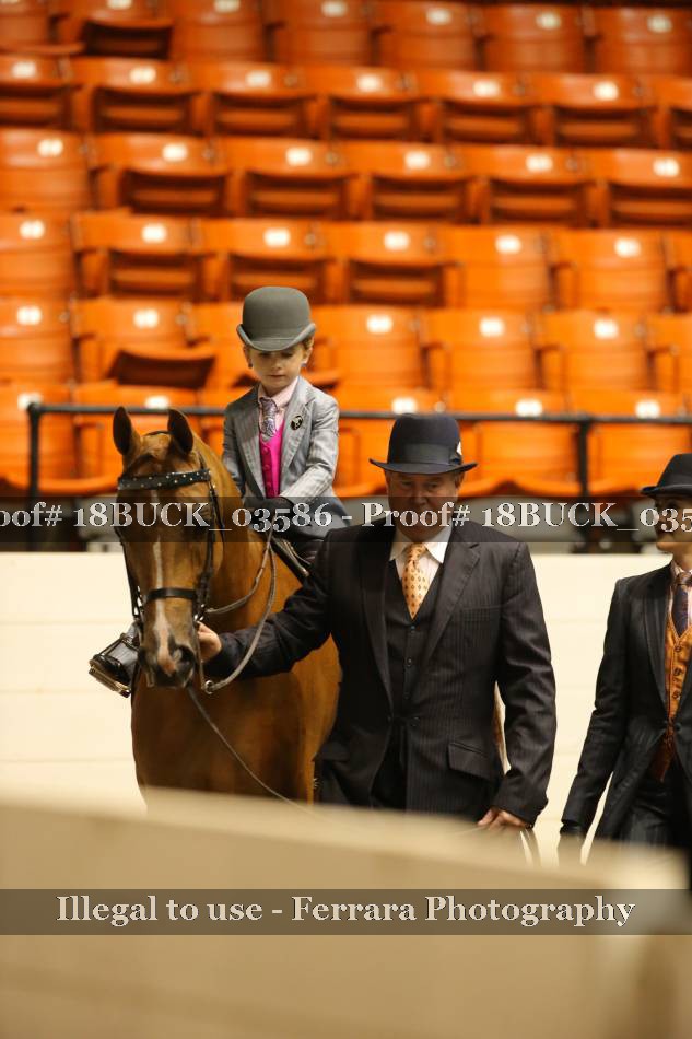 Proof 18BUCK_03586