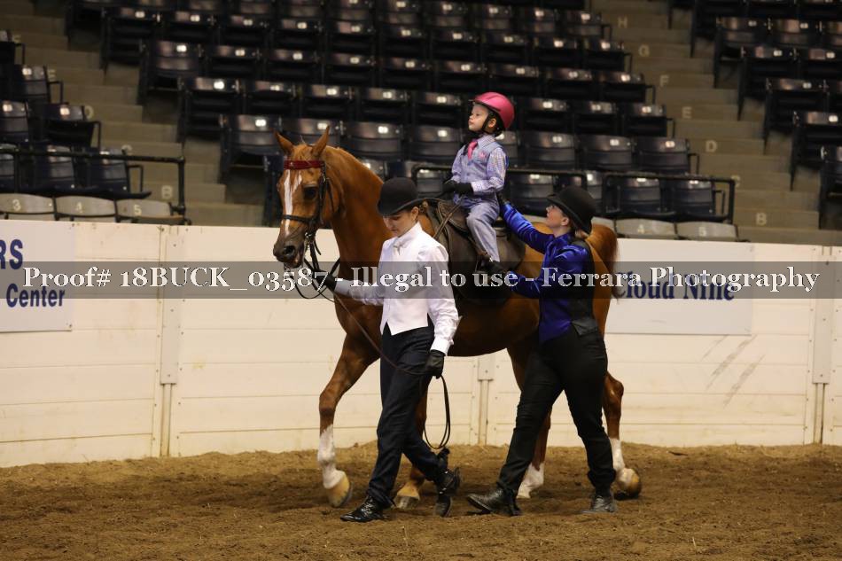 Proof 18BUCK_03587