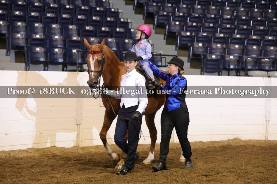 Proof 18BUCK_03588