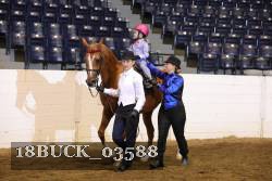 18BUCK_03588 proof