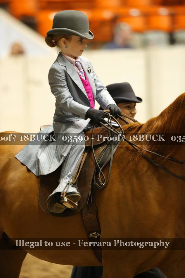 Proof 18BUCK_03590