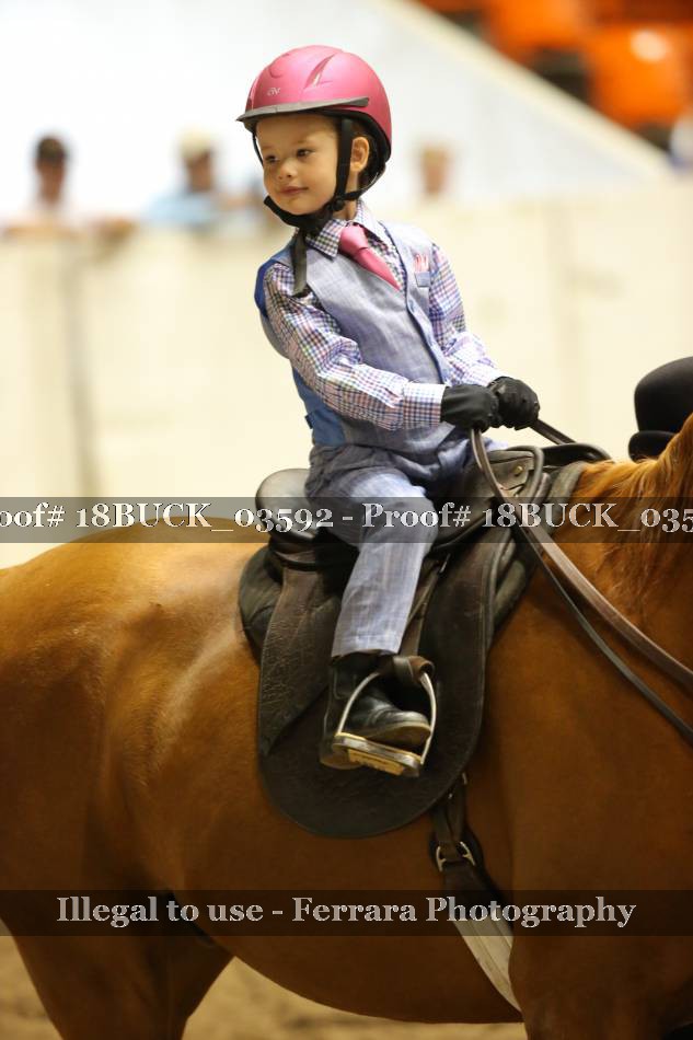 Proof 18BUCK_03592
