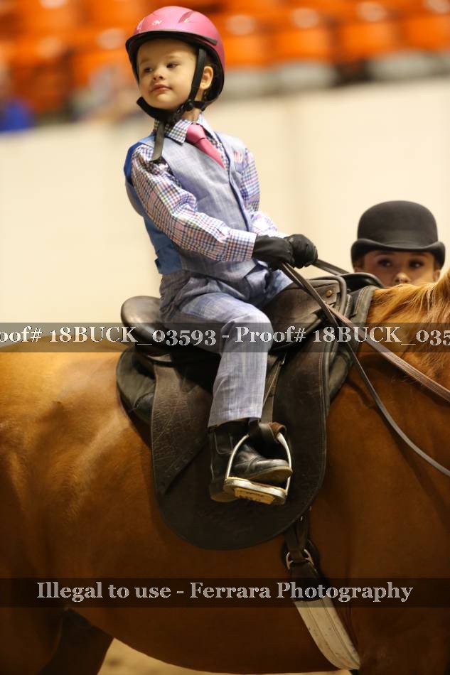 Proof 18BUCK_03593