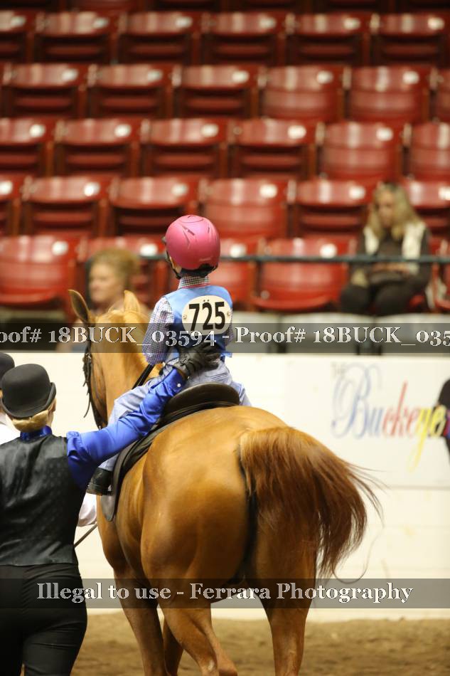Proof 18BUCK_03594
