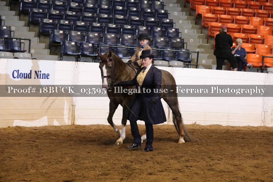 Proof 18BUCK_03595