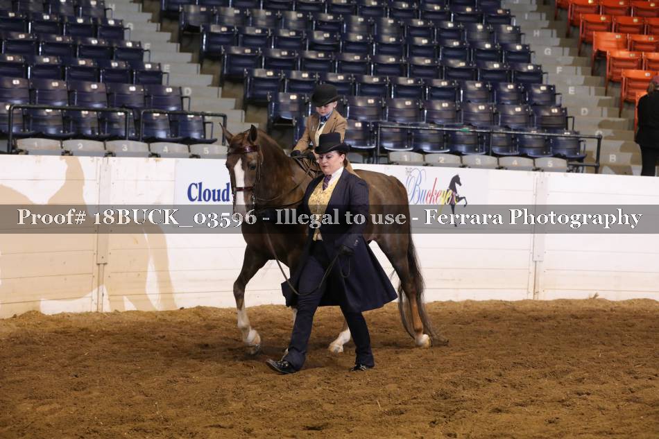 Proof 18BUCK_03596