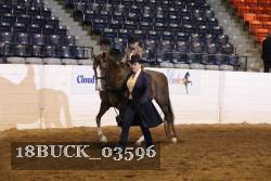 18BUCK_03596 proof
