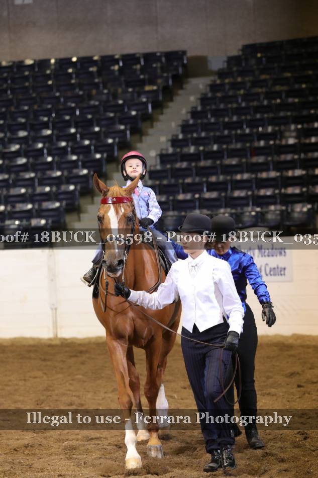 Proof 18BUCK_03598