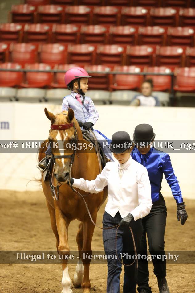 Proof 18BUCK_03599