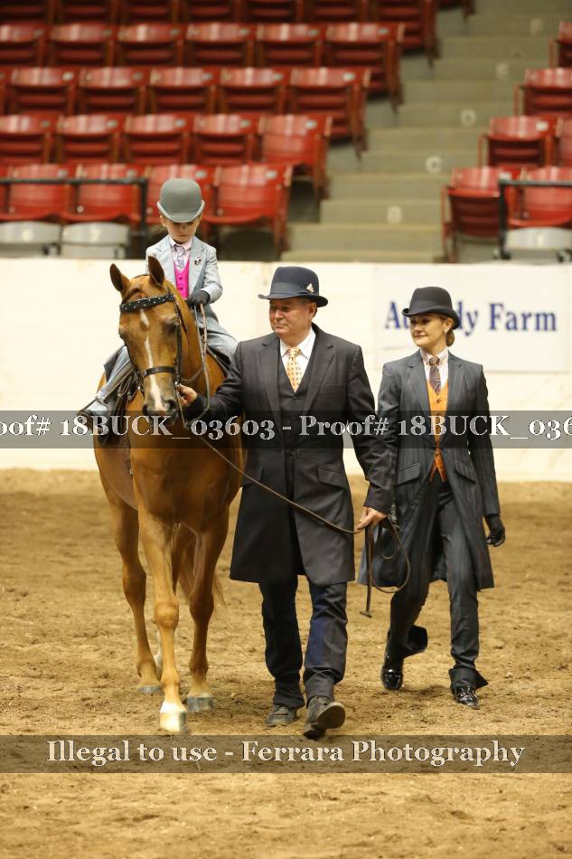 Proof 18BUCK_03603