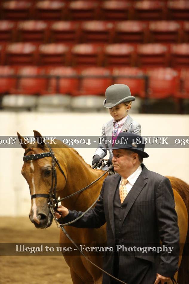 Proof 18BUCK_03604
