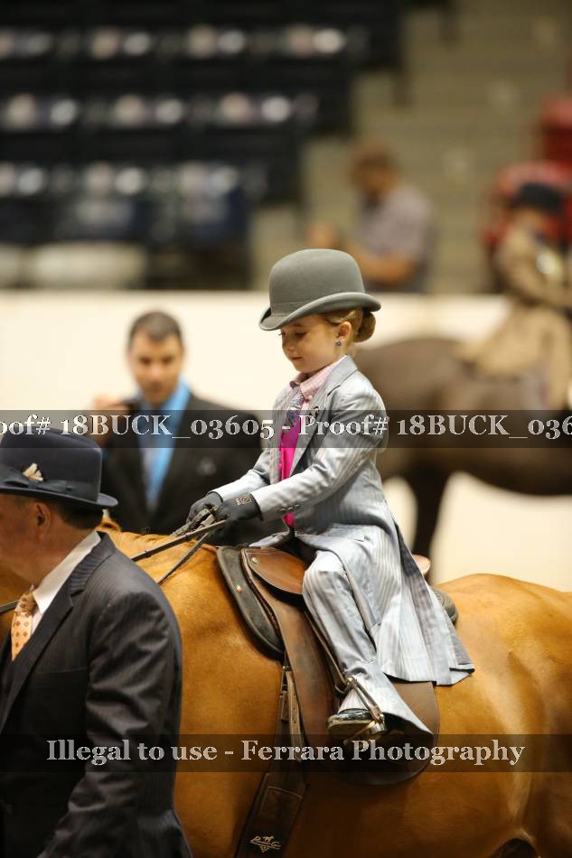 Proof 18BUCK_03605