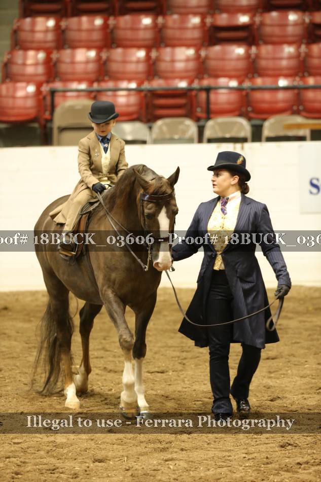 Proof 18BUCK_03606