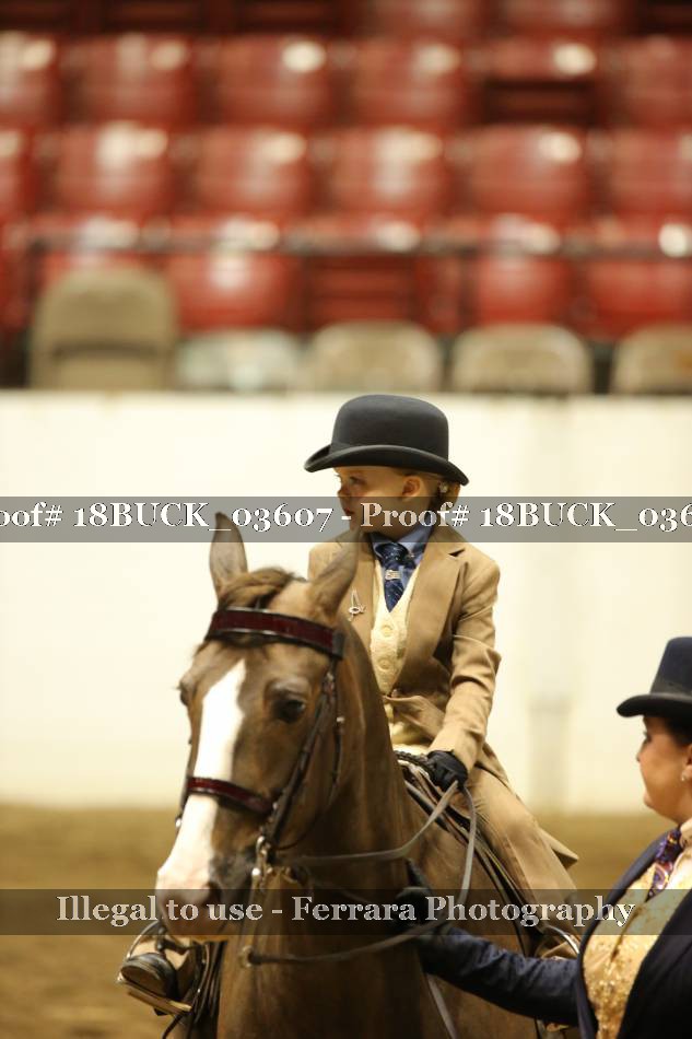 Proof 18BUCK_03607