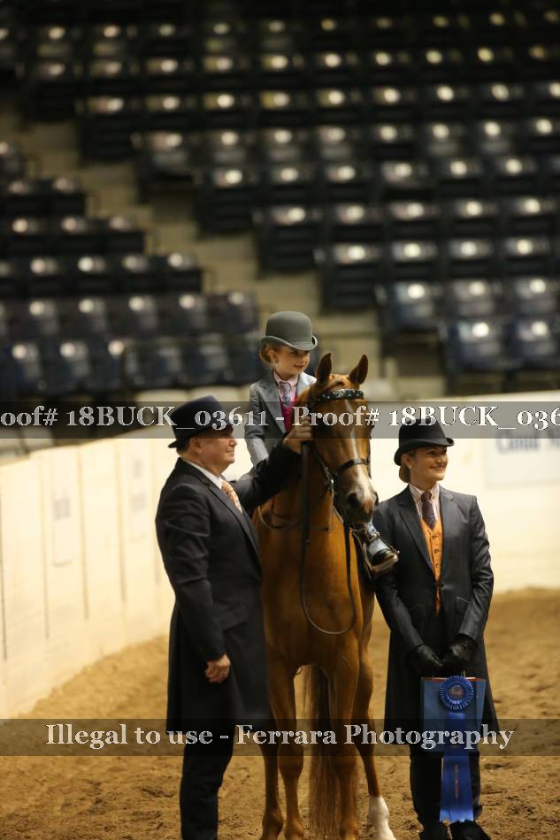 Proof 18BUCK_03611