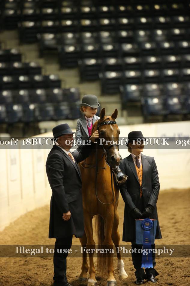 Proof 18BUCK_03612