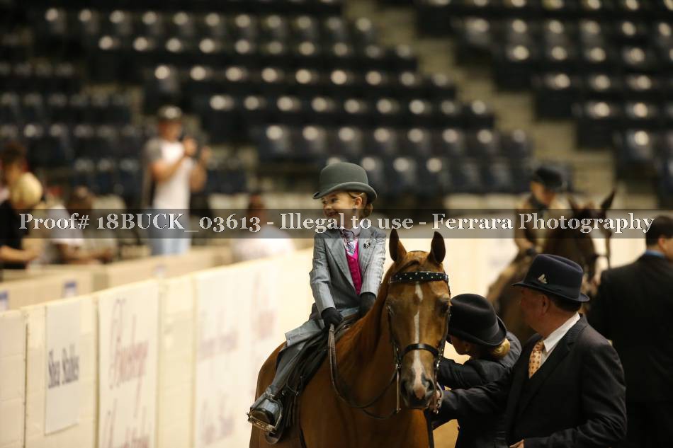 Proof 18BUCK_03613