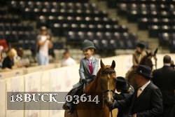18BUCK_03614 proof