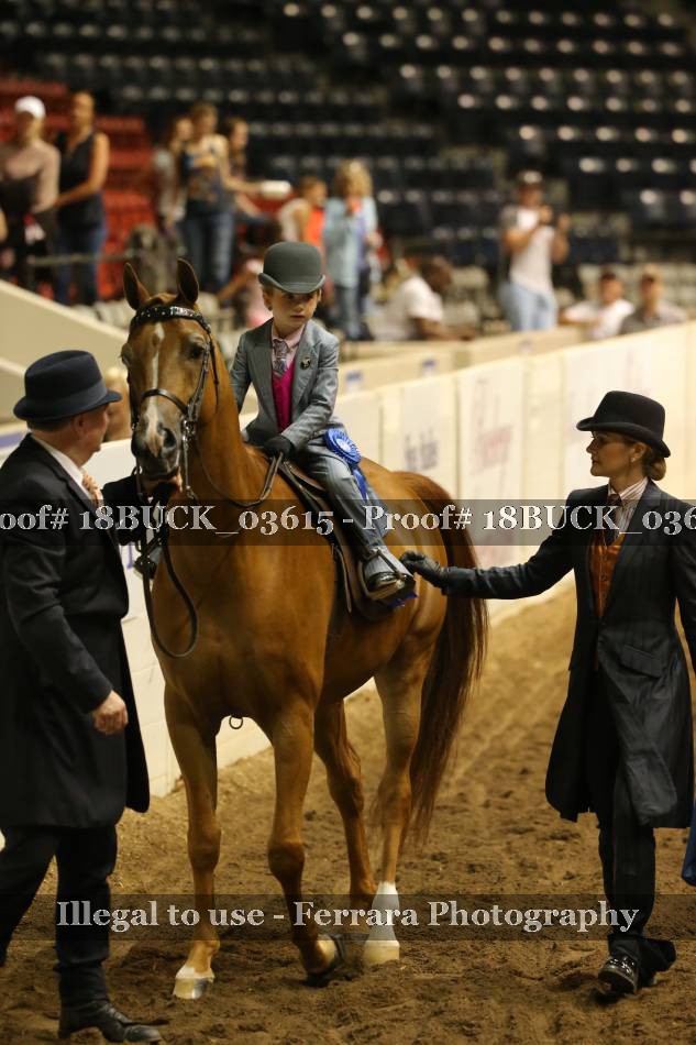Proof 18BUCK_03615