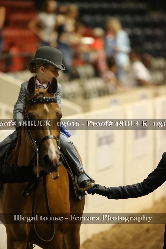 Proof 18BUCK_03616