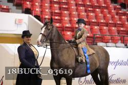 18BUCK_03619 proof