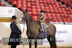 18BUCK_03620 proof