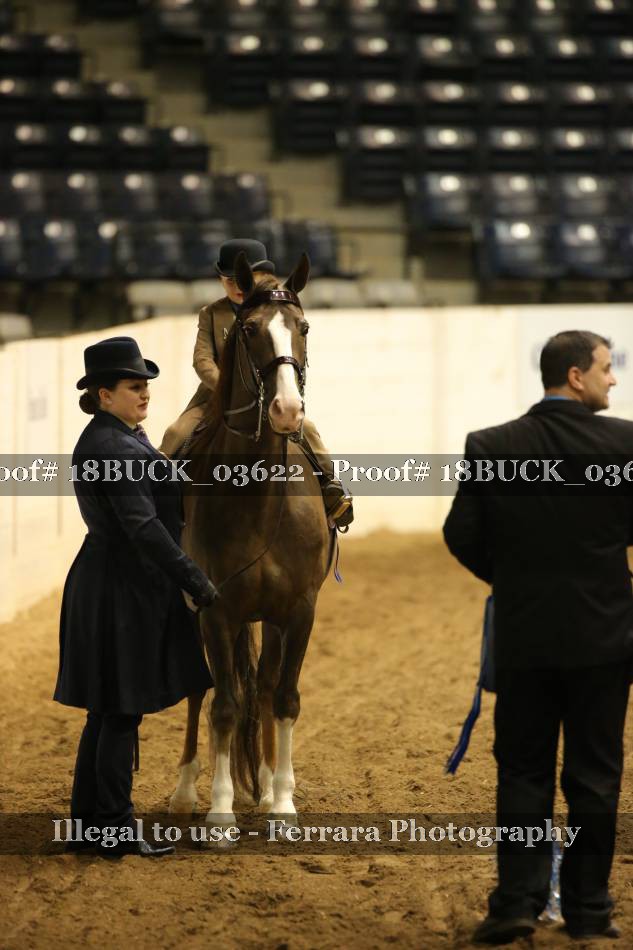 Proof 18BUCK_03622