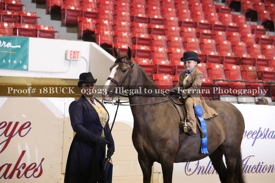 Proof 18BUCK_03623