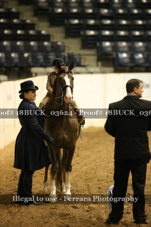 Proof 18BUCK_03624