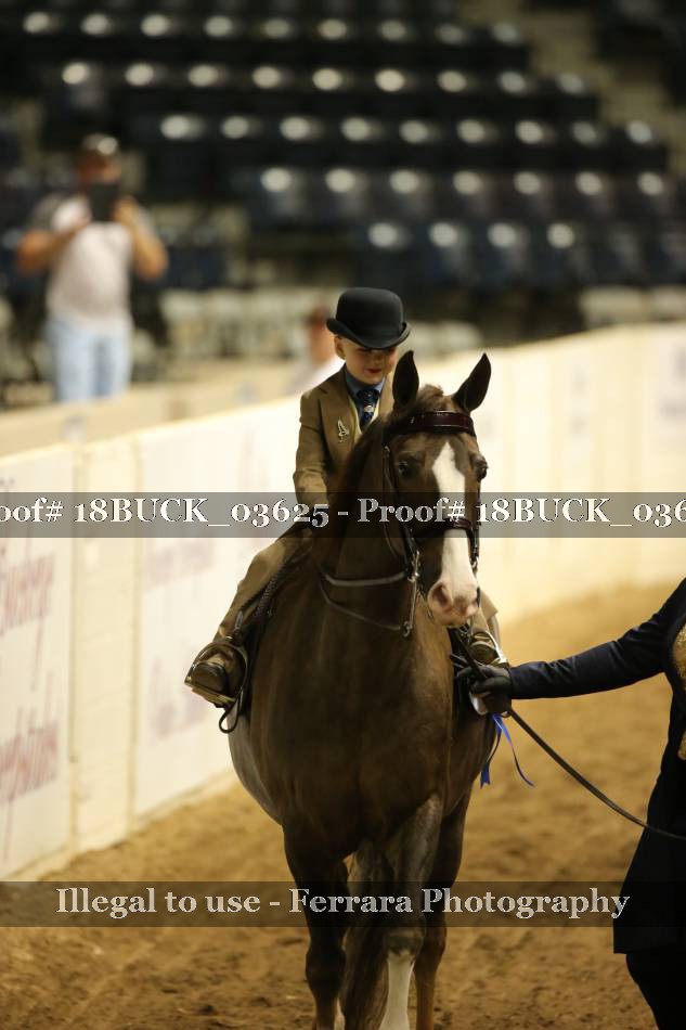 Proof 18BUCK_03625