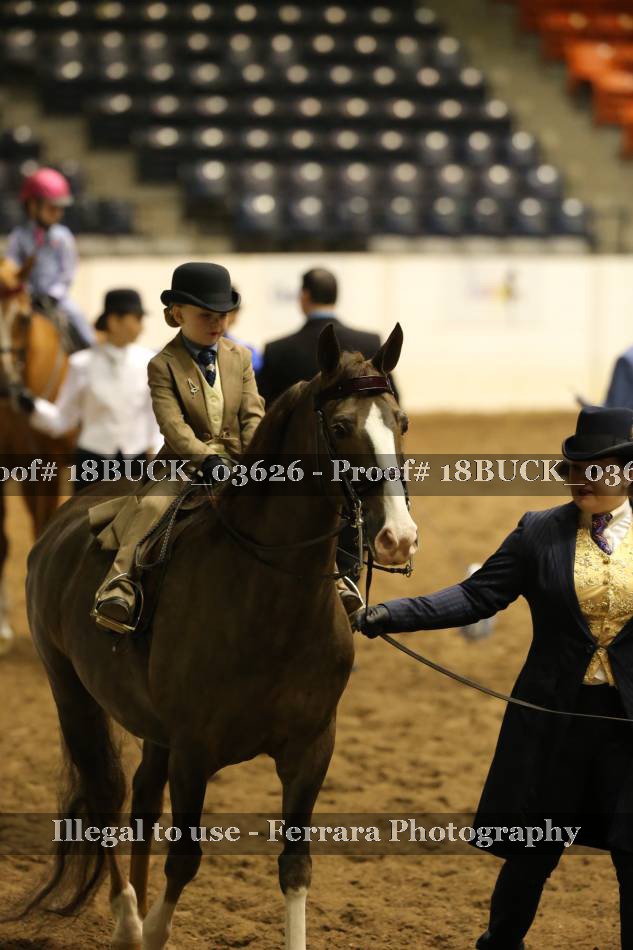 Proof 18BUCK_03626