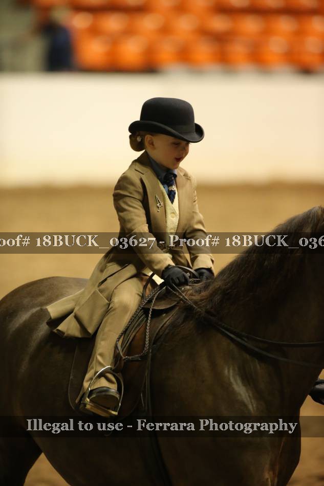 Proof 18BUCK_03627