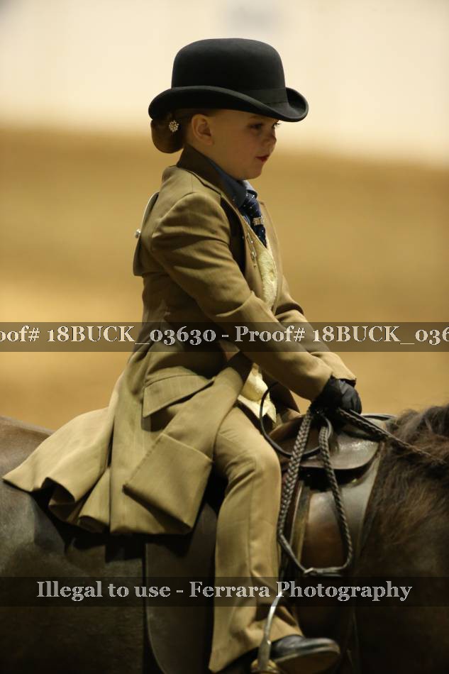 Proof 18BUCK_03630