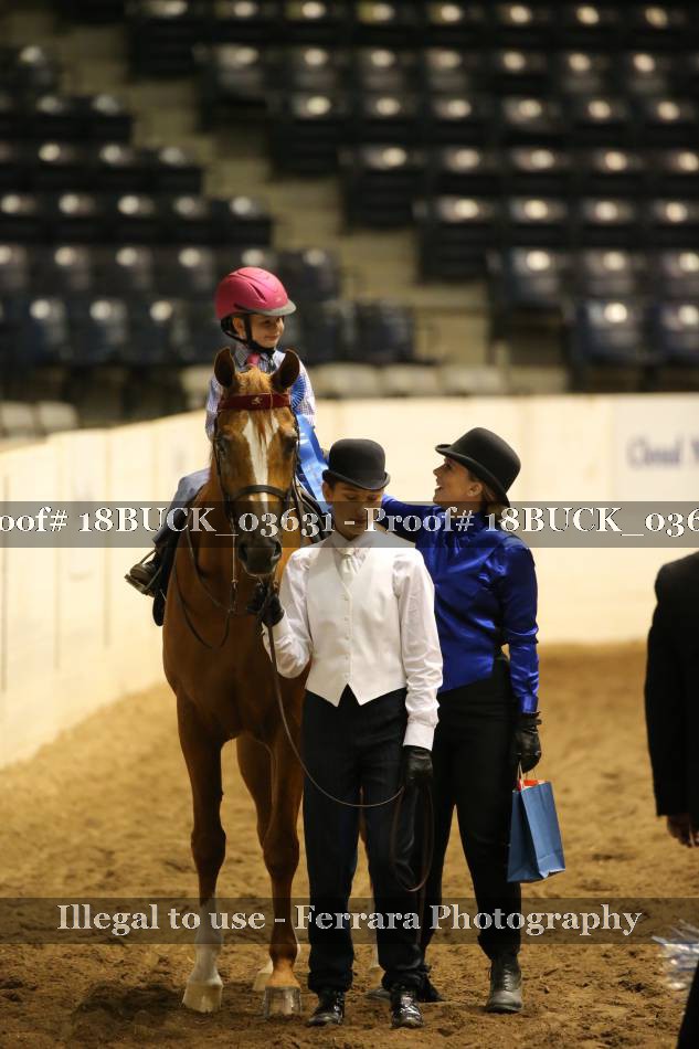 Proof 18BUCK_03631