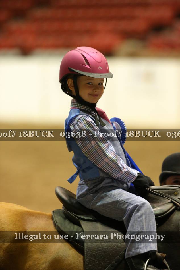 Proof 18BUCK_03638