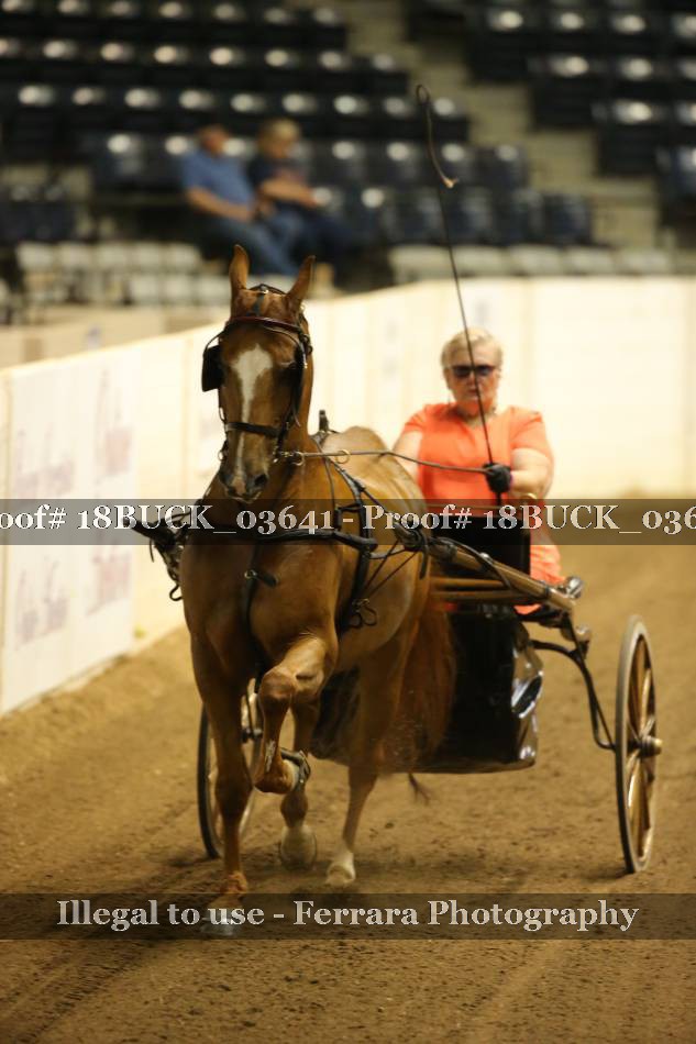 Proof 18BUCK_03641