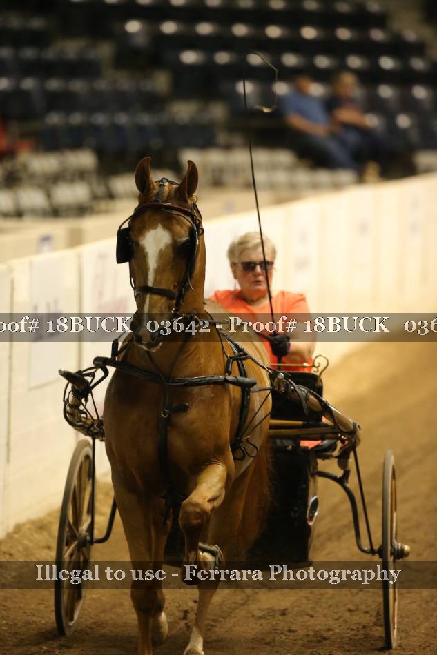 Proof 18BUCK_03642