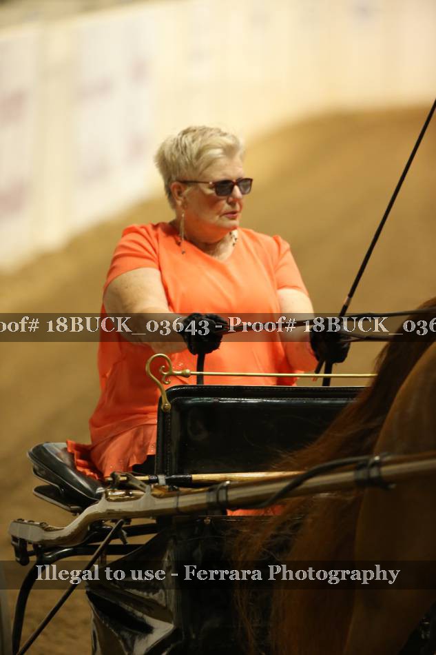 Proof 18BUCK_03643