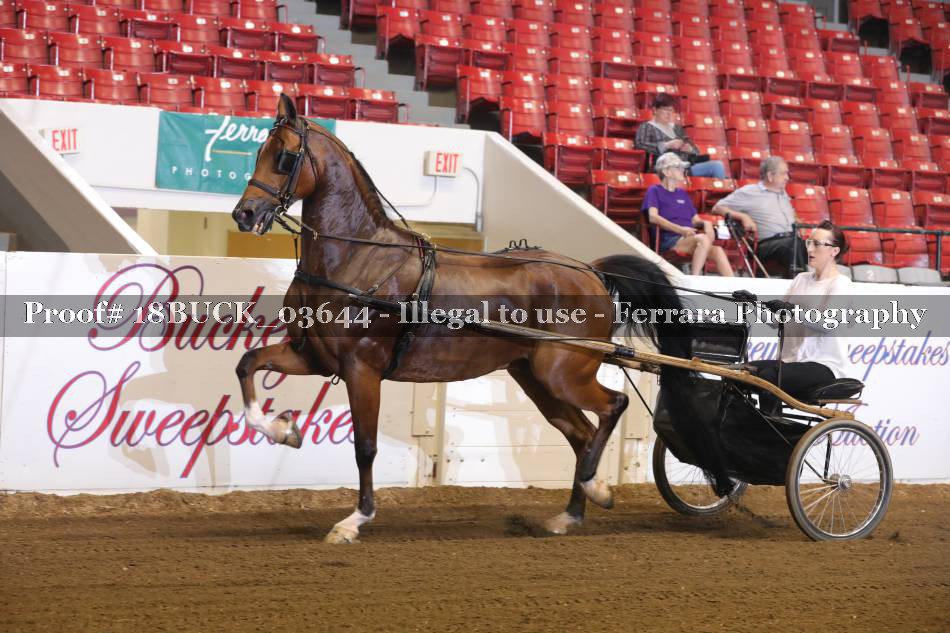 Proof 18BUCK_03644
