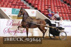 18BUCK_03644 proof