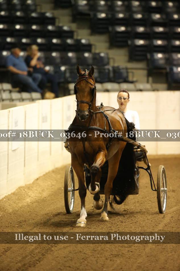 Proof 18BUCK_03646