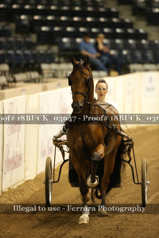 Proof 18BUCK_03647