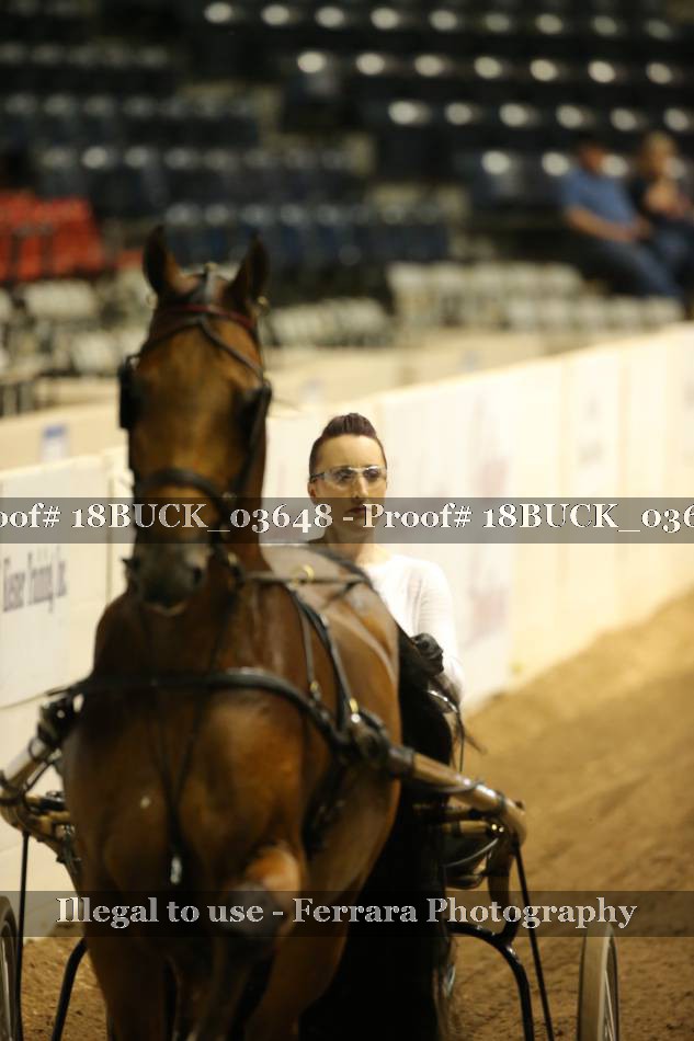 Proof 18BUCK_03648
