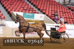 18BUCK_03649 proof