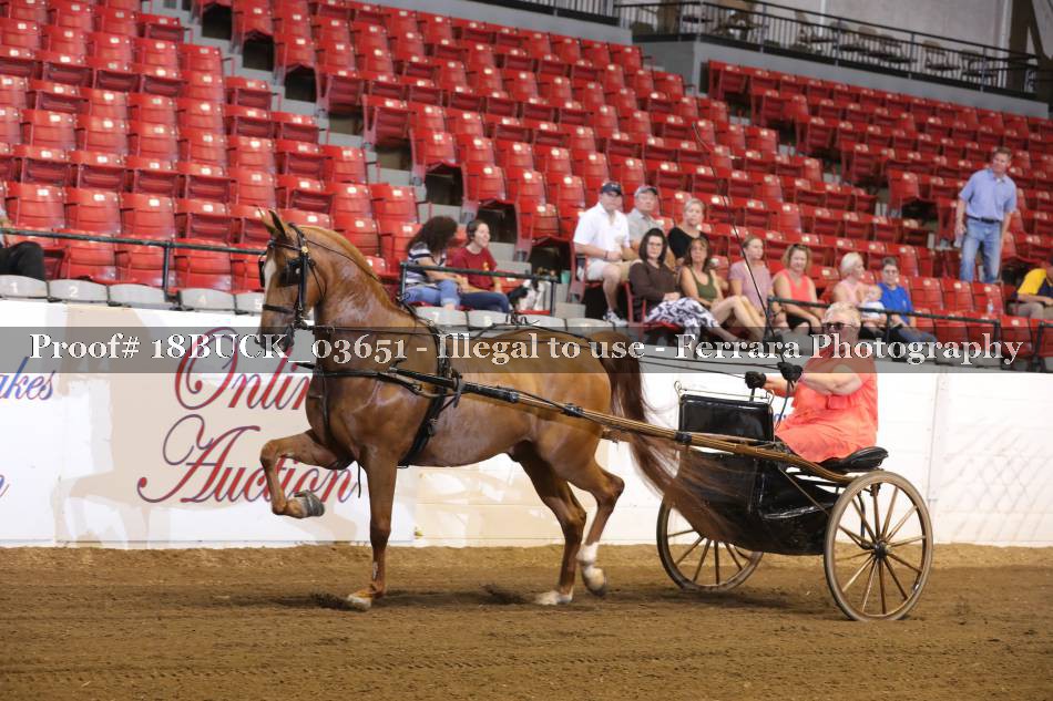 Proof 18BUCK_03651