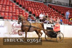 18BUCK_03651 proof