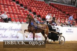 18BUCK_03652 proof