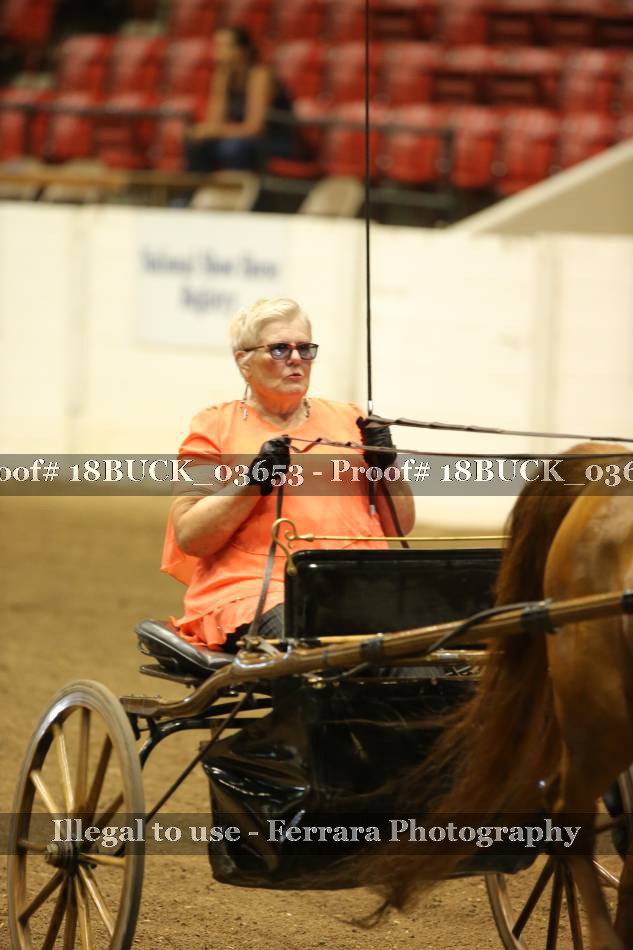 Proof 18BUCK_03653