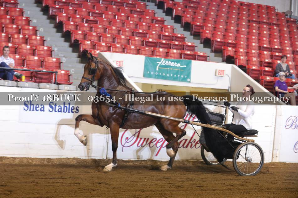 Proof 18BUCK_03654