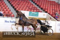 18BUCK_03654 proof